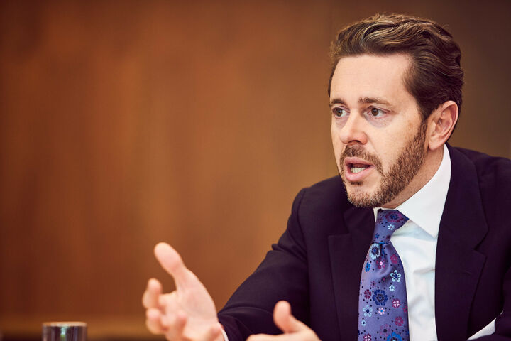 Harald Mahrer, Präsident der WKO