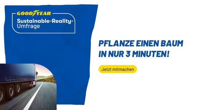 Sustainable-Reality-Umfrage, Slide 3