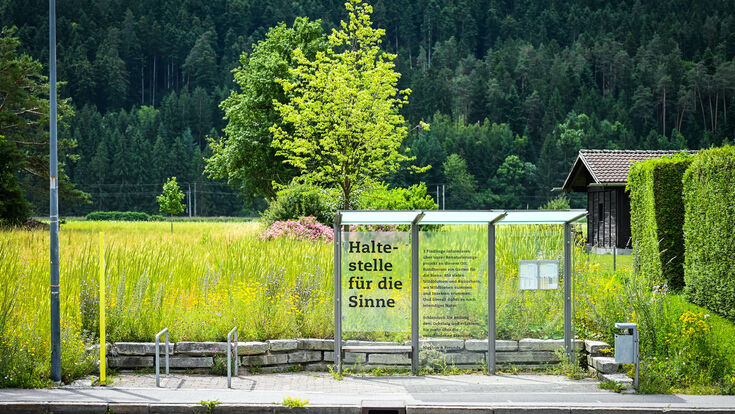 © Foto: Udo Mittelberger