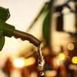 HVO-Diesel bietet dieselbe Leistung wie herkömmlicher Diesel und wird aus nachwachsenden Rohstoffen wie Pflanzenölen und tierischen Fetten hergestellt.