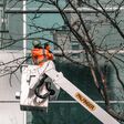 „Go for Solution P”: Auf der Bauma 2025 in München präsentiert Palfinger sein Portfolio an Hebelösungen, Services und neuesten Innovationen.